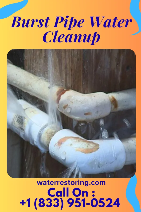 Burst Pipe Water Cleanup in Fort Thomas, KY