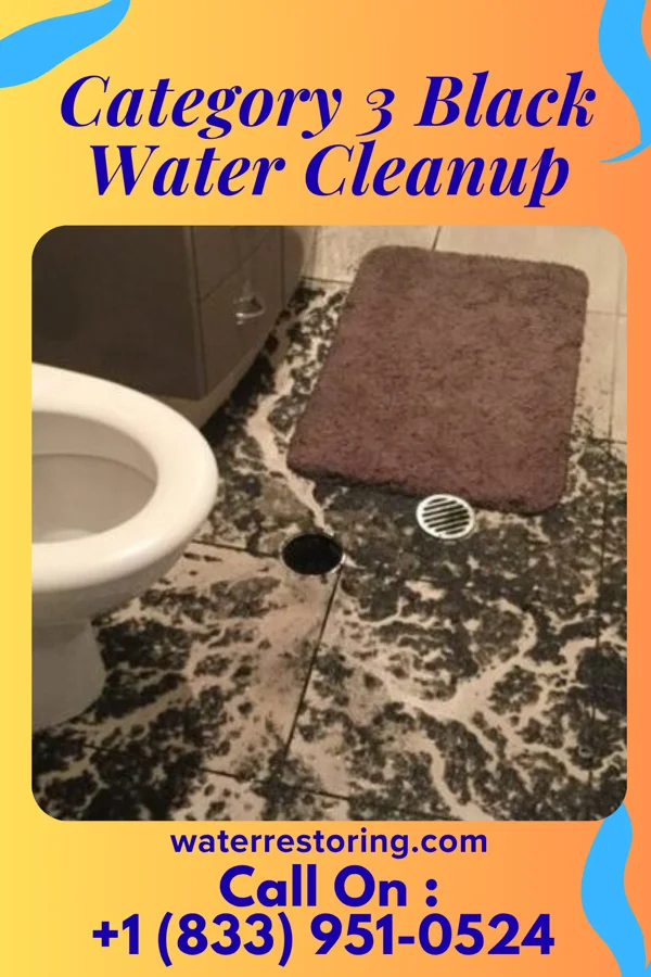 Category 3 Black Water Cleanup in Fort Thomas, KY