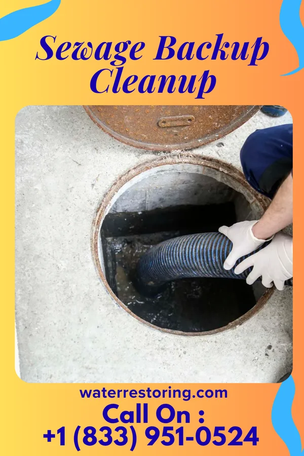 Sewage Backup Cleanup in Fort Thomas, KY