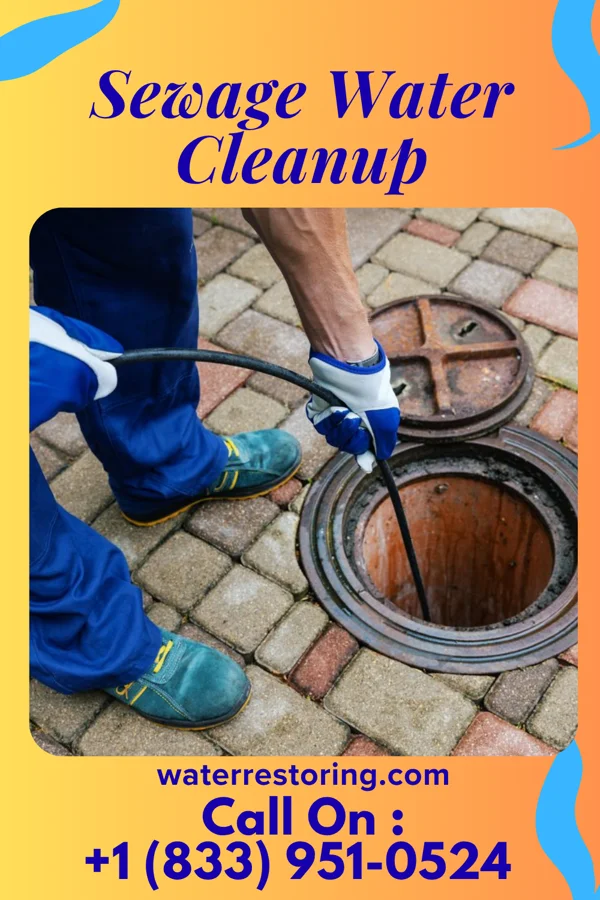 Sewage Water Cleanup in Fort Thomas, KY