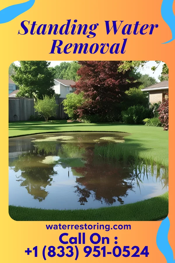 Standing Water Removal in Fort Thomas, KY